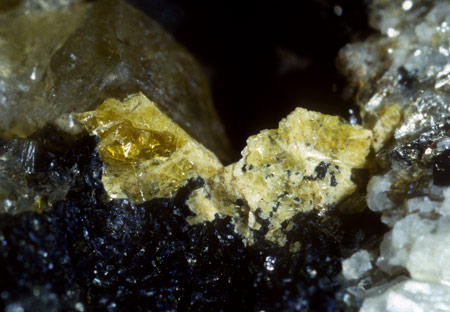 Asbecasit| (5mm) mit Chlorit. Die Asbecasite der Lercheltinizone erreichen häufiger Grössen von ca. 1cm, sind jedoch leider meist zu einem gelben Pulver verwittert 