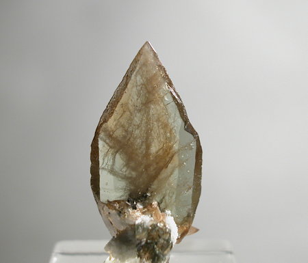 hellbrauner Sphen-Kristall| H: 1.8cm; Fundort: Felbertal