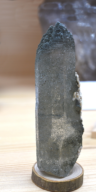 Quarzspitze mit Chlorit| H: 6 cm; F: Trippach; Finder: Peter Kirchler 