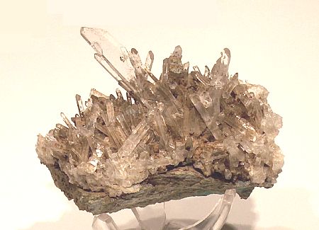 Heller Quarz| (Kristalle teils plattig), B: ca. 10cm; F: Croix d'Arlaz, Monte Rosa, IT; coll: Aldo Cambiolo.