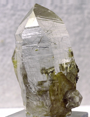 Rutilquarz-Einzelkristall| H: 8cm; F: Hocharn; Sammlung: Sepp Kaml