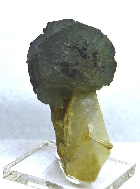 Grüner Fluorit auf Bergkristall| H: ca. 8 cm, F: Weisseck; Finder: Reinhold Bächer 