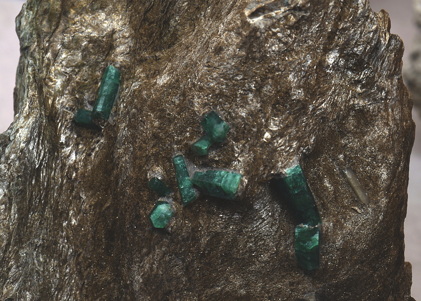 Smaragd| BB: ca. 10 cm, F: Habachtal; Sammlung: Familie Steiner 