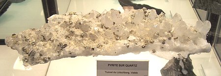 Pyrite auf Quarz|  F: Lötschbergtunnel, VS; B: ca. 20 cm [113]