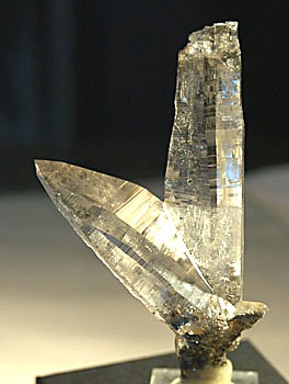 Tessinerquarze verwachsen| F: Alpe Cristallina (TI); Kristallspitze L: 6cm