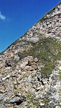 Eine fündige Zone| Alpe Cristallina (TI)