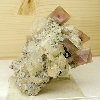 Rosa-Fluorit, Apatit, Calcit| Hocharn, AT; H: 12cm; Coll. Hubert Fink
