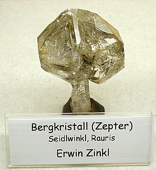 Szepterquarz mit Fenstern| Seidlwinkl, Rauris, AT; H: 8cm; Coll. Erwin Zinkl