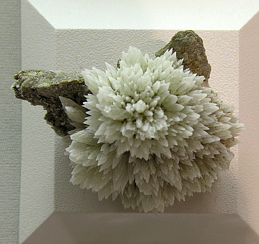 Weisse Strontionit-Blume| Cavradischlucht, GR; B: 5.5cm  (Sammlung Remigi Cavegn)