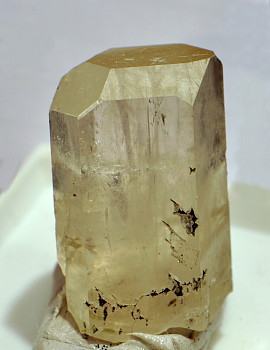 Gelber Apatit Einzelkristall| Naret, Val Maggia, TI;  H: 3cm (Sammlung Arno Gibellini)