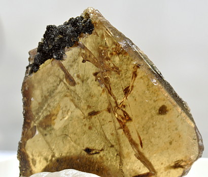 Titanit Einzelkristall| F: Naret, TI;  B: 5cm (Sammlung Delio Stefana)