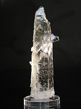 Schöner Binntalhabitus-Kristall, mit Chloriteinschlüssen (H: 15.5 cm)