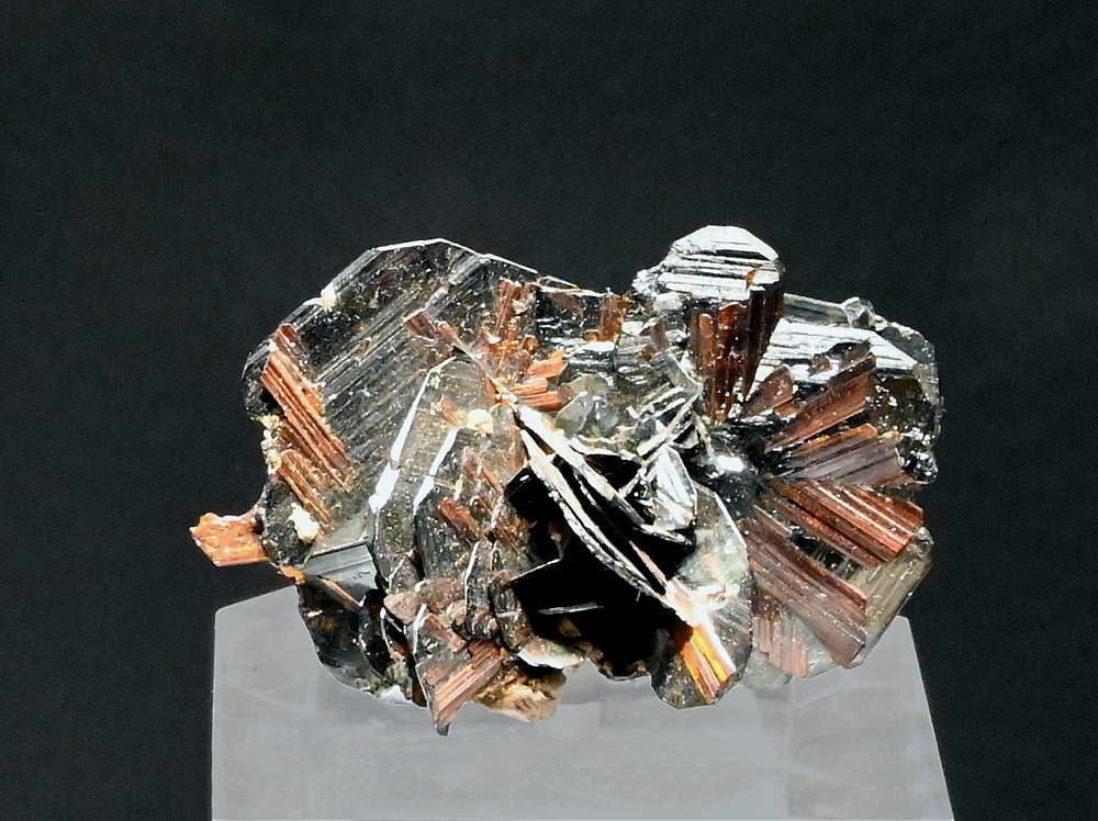 Hömatit mit Rutil| B: 4 cm; F: Cavradi, GR; Sammlung: Felix Spahr