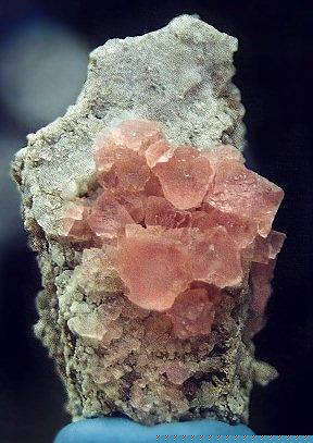 Gorgeous pink Fluorite with Smoky Quartz; Grimsel - Switzerland, Scarce octahedral Fluorite from the Grimsel Region of Bern, Switzerland. These are extremely popular specimens and hard to find with good clusters! This 3