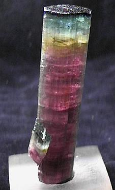 Blue Cap Tourmaline; Sapo Mine - Minas Gerais - Brazil, Stunning 7.6 x 2.1 cm (59.2 gram) blue cap multicolored crystal of tourmaline from the Sapo Mine, Pederniera, Minas Gerais, Brazil. The colors in this crystal are striking as the deep lilac color grades to yellow to an aqua green to a deep indigo blue cap comprising the flat termination. This specimen is from a find made this past year. Blue cap tourmalines are quite rare with the best crystals ever found coming from Pala at the Tourmaline Queen Mine. These crystals have a deeper blue color than those! $1,000  