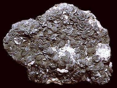 Hematite rosettes; Fellital - Uri - Switzerland, Overall the specimen is 14 x 11 x 8 cm, and the average size hematite crystal is about 8 mm. I was told by another collector that this specimen looked like those recovered during the construction of a waterline (or perhaps aqueduct).  