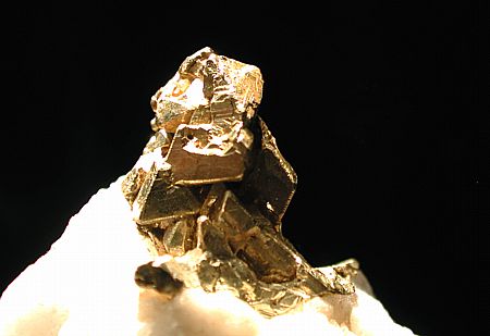 Goldkristalle auf Matrix| BA: 2 cm; Princeton Mine, Mariposa, CA, USA. (Harvard Mineralogical Museum)