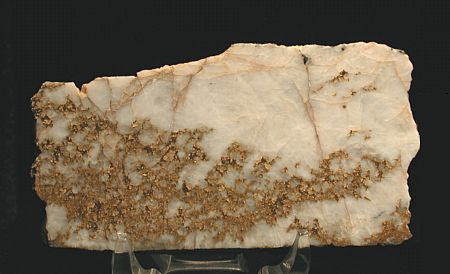 Goldader (poliert)| B: 8 cm; North Star Mine, Grass Valley, CA, USA. (Harvard Mineralogical Museum)