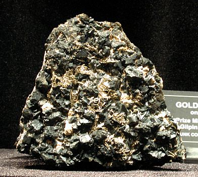 Goldkristalle mit Spahlerit auf Matrix| B: 10 cm; Prize Mine, Nevadaville, Gilpin Co., CO, USA. (David Bunk Coll.)