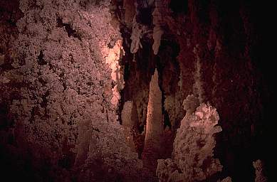 Eine Rekonstruktion einer Stalaktitenhöhle, Der Besucher des Denver Museum of Natural History findet auch diese grossartigen Stalaktiten und Stalagmiten in einem eigenen Raum.