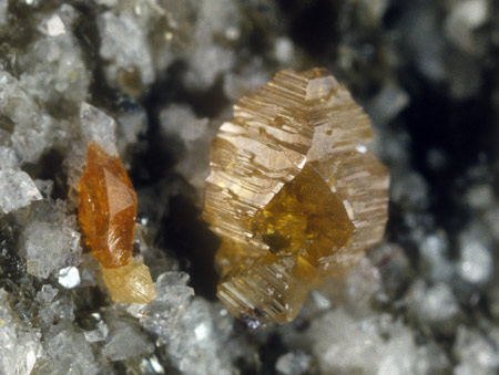 Anatas mit Monazit| Bemerkenswert ist der Habitusunterschied zwischen dem grossen Anatas (Länge 3 mm), der deutliche Prismenflächen aufweist und dem kleinen, stumpfdipyramidalen Anatas unterhalb des Monazitkristalls 