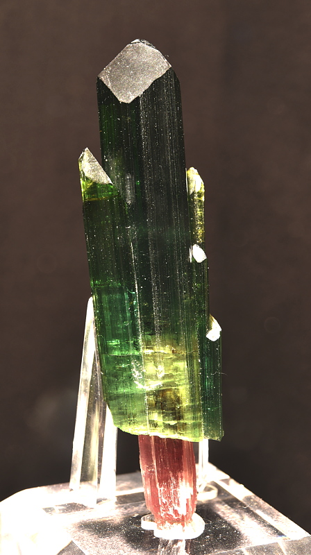 Turmalin-Zepter 'The Rocket'| H: 12 cm; F: Pederneira Mine, Minas Gerais, Brasilien; Sammlung: Jim & Gail Spann 