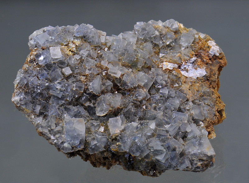 Fluorit-Rasen| B: 10 cm, F: Panixerpass, GR 