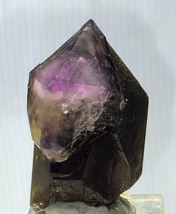 Rückblick München-Mont Blanc: Amethyst-Rauchquarz| H: 4 cm; Fundort: Face nord des Courtes, Mont Blanc, Frankreich