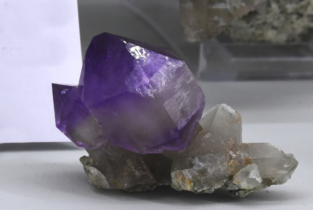 Zepteramethyst| B: ca. 7 cm; F: Fiesch, VS, CH; Sammlung: Denis Boël 