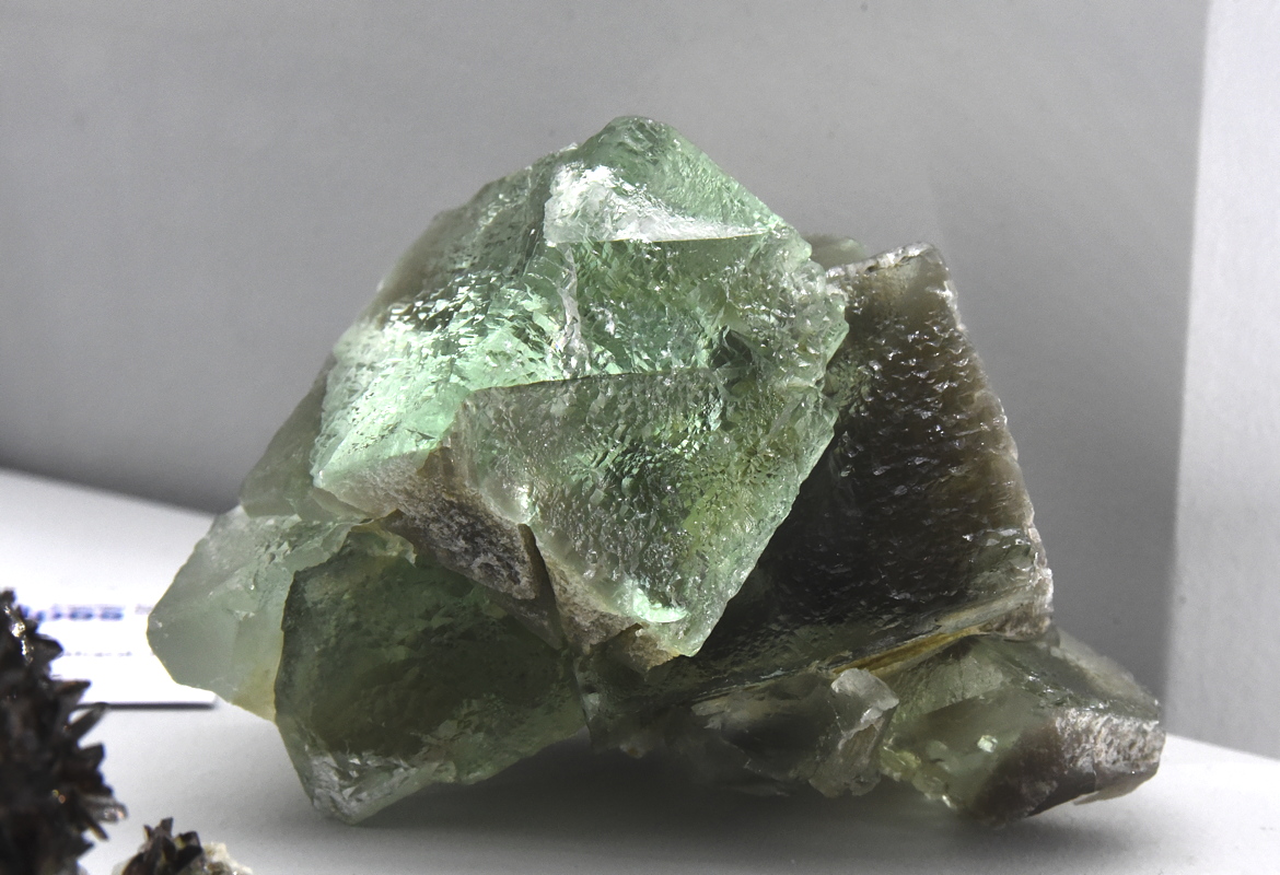 Grüner Fluorit (kubisch)| B: ca. 10 cm; F: Oltschenalp, BE, CH; Sammlung: Musée de Minéralogie, Mines Paris Tech 