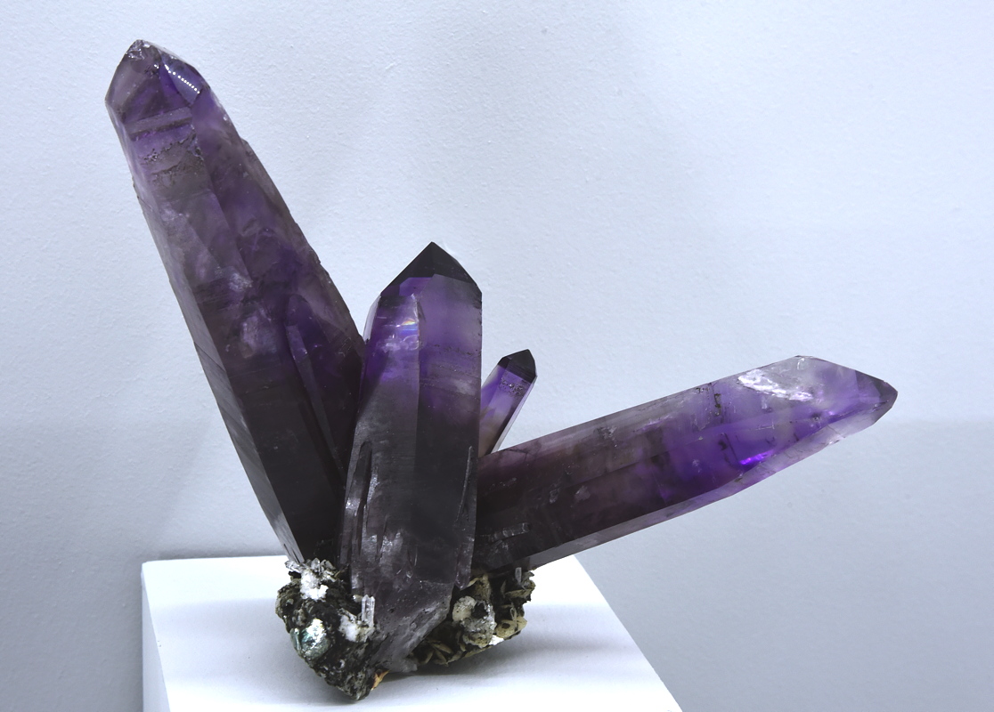 Amethyst| B: ca. 20 cm; F: Traversella, Piemont, I; Sammlung: Musée de Minéralogie, Mines Paris Tech 