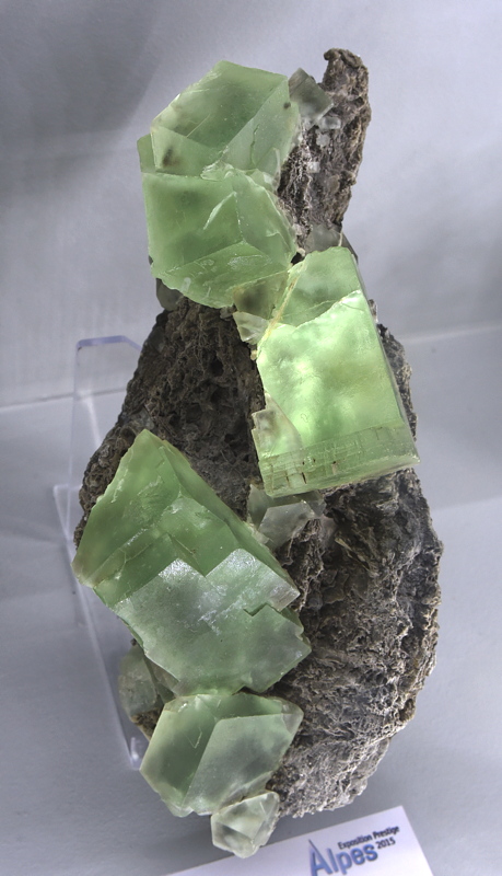 Grüner fluorit| H: ca. 15 cm; F: Les Aravis, Sallanches, F; Finder: D. Colombet, P. Algeri (2006); Sammlung: Gilles Emringer 