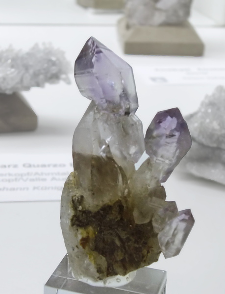 Zepteramethyst| H: 8cm; Fundort: Schwarzenbach, Ahrntal; Sammlung: Helmuth Niederbrunner 