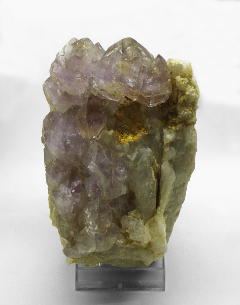 Zepteramethyst| 12 x 7; Fundort: Tristenspitze; Sammlung: Kurt Marcher 