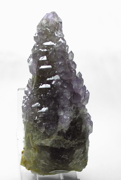 Zepteramethyst| H: 11 cm; Fundort: Tristenspitze; Sammlung: Friedrich + Johann Kirchler 