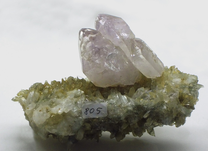 Zepteramethyst| 12 x 4; Fundort: Hochfeiler; Sammlung: Johann Holzer 