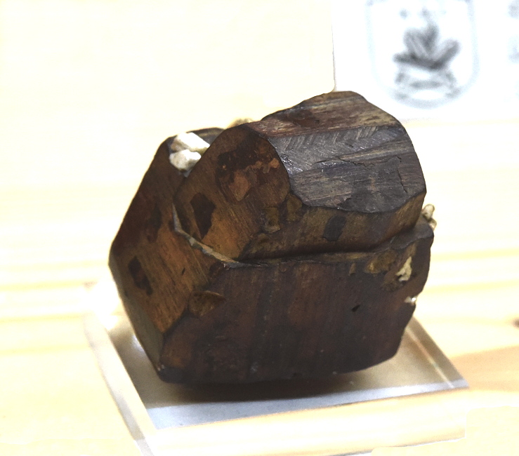 Pyrit | B: 4 cm; F: Drassberg; Finder: Hans Peter Gruber 