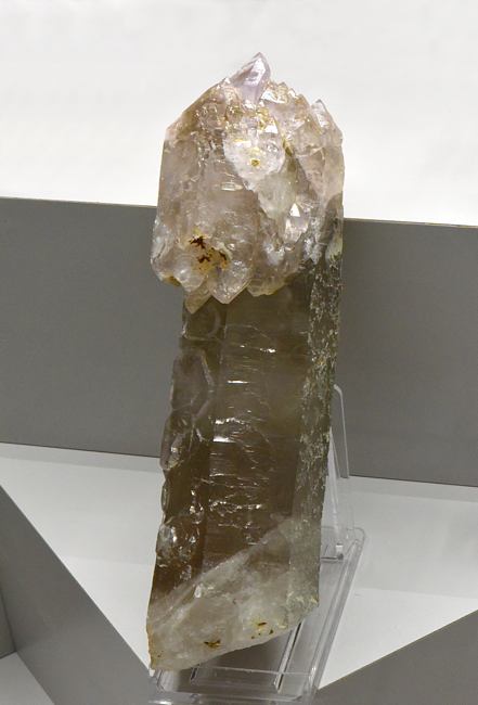 Amethyst-Zepter mit dunklem Stamm| H: 12 cm; F: Ahrntal; Finder: Erwin Zimmerhofer 