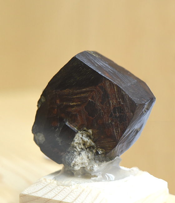 Pyrit| H: 2.5 cm; F: Weisszint; Finder: Stefan Gasteiger