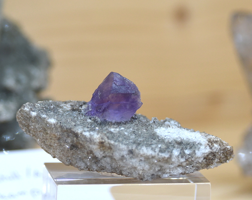 violetter Fluorit auf Matrix| B: 5 cm; F: Pfitscher Joch; Finder: Paul Althuber