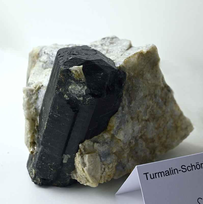 Turmalin (Schörl)| H: 6 cm; F: Martell; Sammlung: Hansjörg Oberdörfer