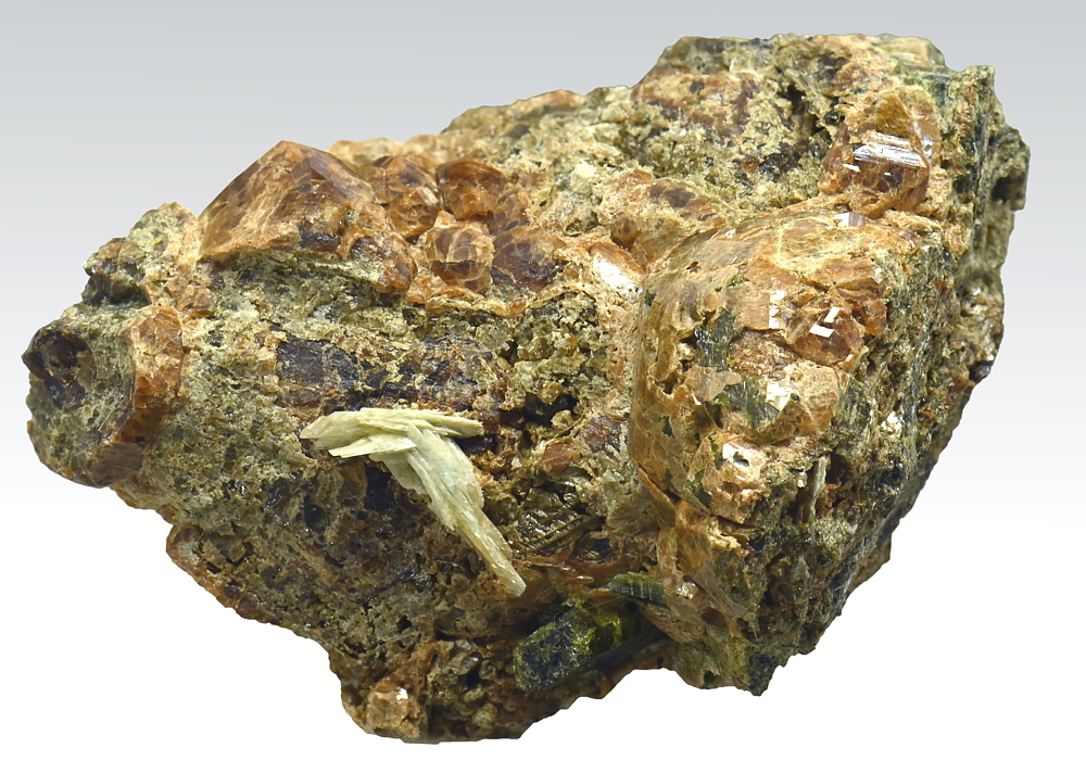 Titanit, Granat| B: 6 cm; F: Lago di Campo / Val Daone; Finder: Volkmar Mair