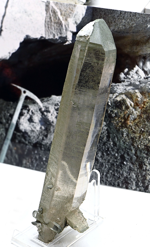 Bergkristall-Spitze mit Chlorit| H: 14 cm; F: Ahrntal; Finder: Peter Kirchler