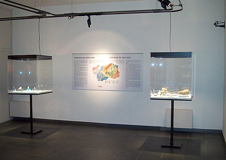 Grosszügige Ausstellungsräumlichkeiten| mit gut beleuchteten Vitrinen und Hintergrundinformationen.