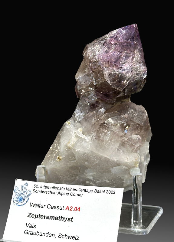 Zepteramethyst| H: 12 cm; F: Vals GR; Sammlung: Walter Casut