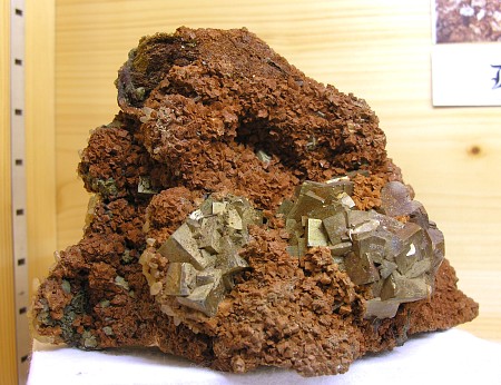 Pyrit mit Ankerit| B: 12cm; Fundort: Schwarzkopf, Rauris; Finder: Erwin Zinkl 