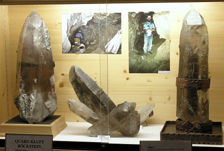 Vitrine mit Rauchquarzen| LK (Kristall rechts): 50cm; Fundort: Böckstein; Finder: Erwin Scheider, Walter Pfeffer 