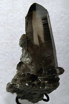 Rauchquarz| H: 12cm; Fundort: Obersulzbachtal; Finder: Reinhard Innerhofer 