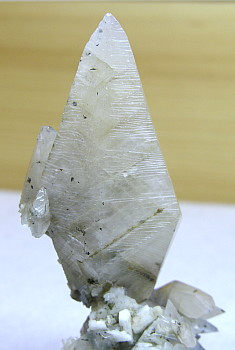 Calcit Skalenoeder| H: 7cm; Fundort: Rauris; Finder: Gerhard Steiner, Harald Spuller und Michael Neff 