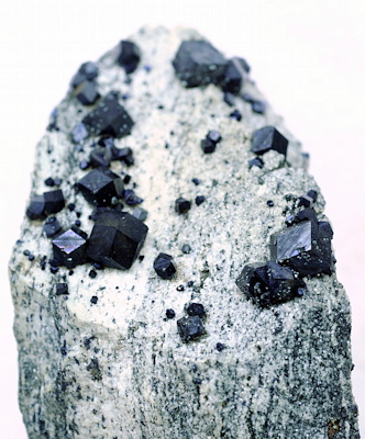 Magnetite auf Matrix| (Rhomben-Dodekaeder) KL: 10mm; F: Felbertal (Ö); Finder: Sepp Papp 